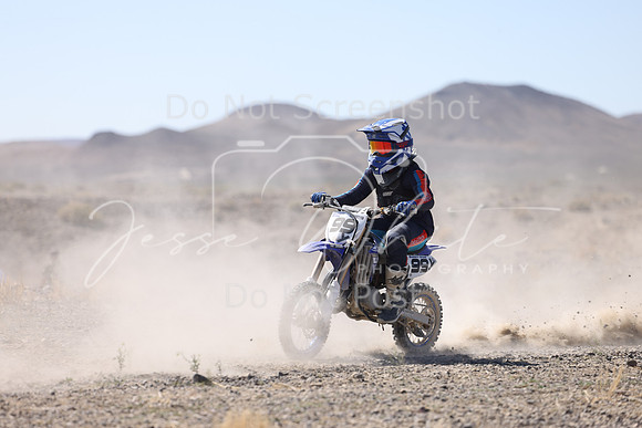 IMG_2137-99y