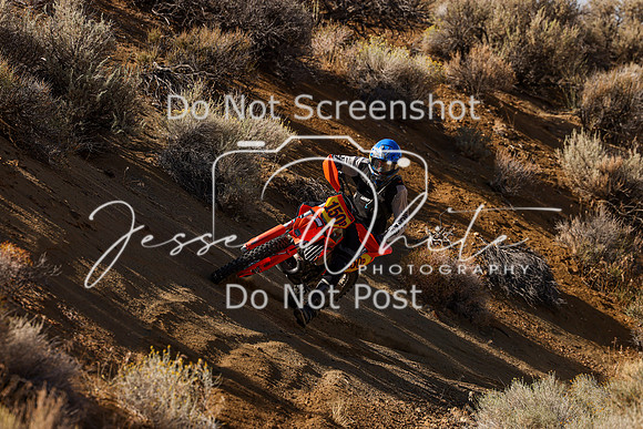 IMG_9755-150p