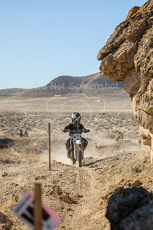 IMG_5542-32y