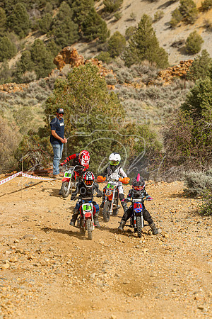 IMG_0103-5-31