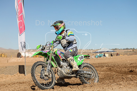 IMG_7594-519t