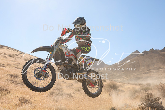 IMG_9592-310x
