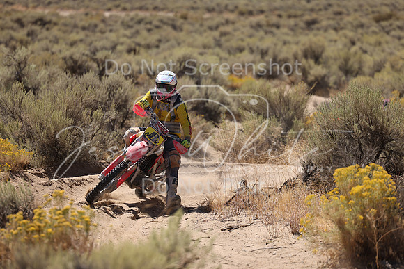 IMG_1746-n6v