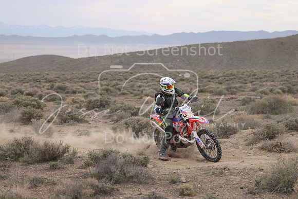 IMG_8146-46b