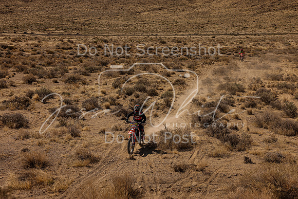 IMG_2386-96a