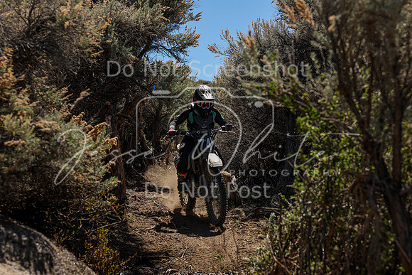 IMG_0618-74v