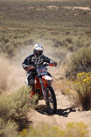 IMG_1334-nt133