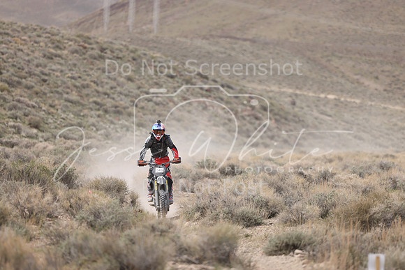 IMG_0212-54b