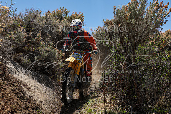 IMG_0387-496b