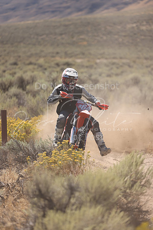 IMG_1349-x64