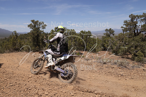 IMG_5303-t41