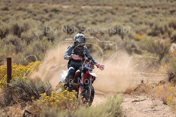 IMG_1492-nt383