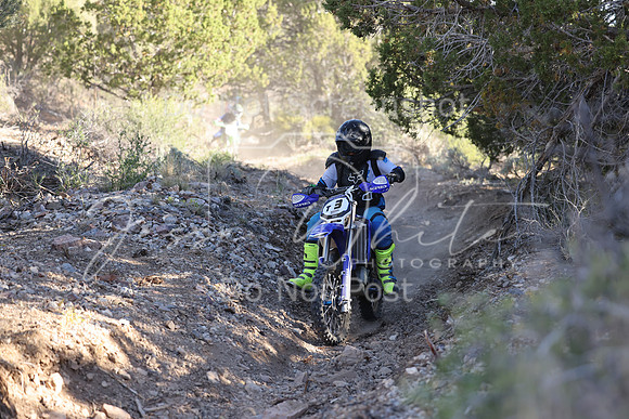 IMG_3291-t3