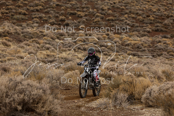 IMG_0729-74v