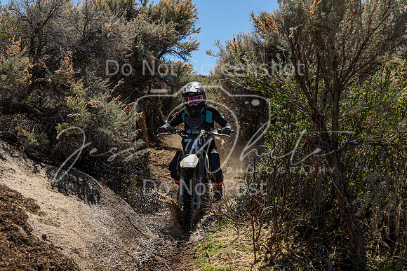 IMG_0620-74v