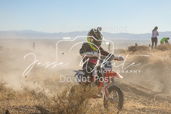 IMG_9859-105y