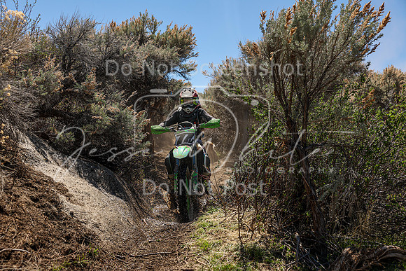 IMG_0347-77v