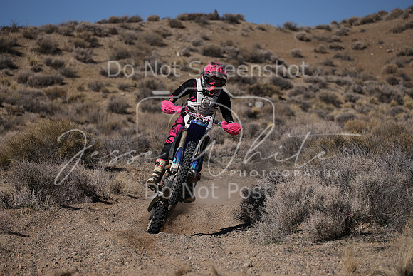 IMG_9165-828v