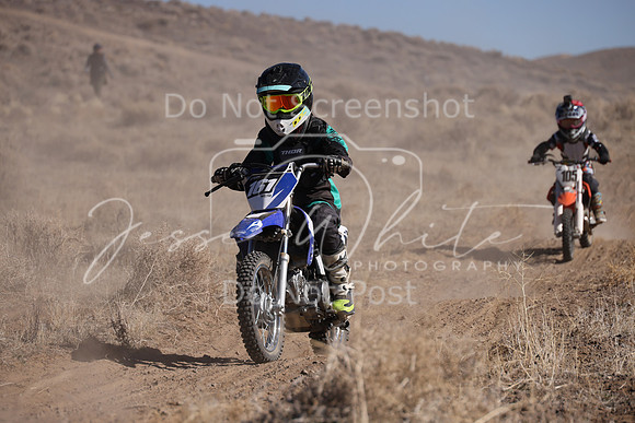 IMG_7861-161-105z