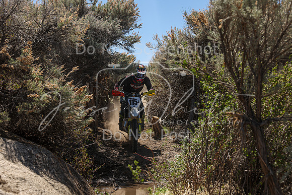 IMG_0183-115j