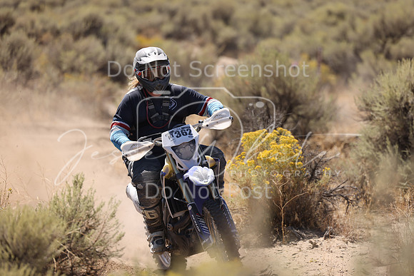 IMG_1584-n362