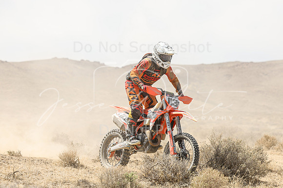 IMG_9155-113t