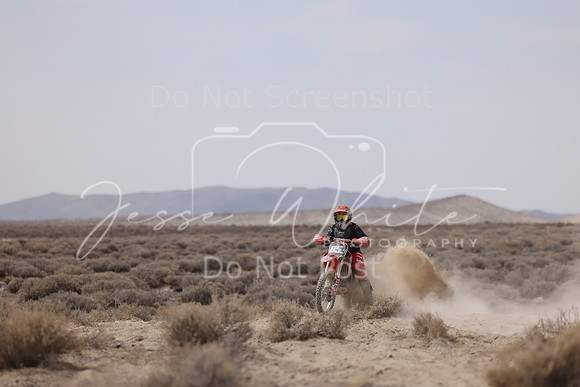 IMG_0107-85j