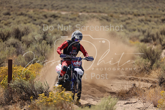 IMG_1392-x84