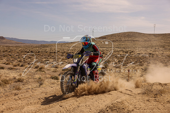IMG_3705-204n