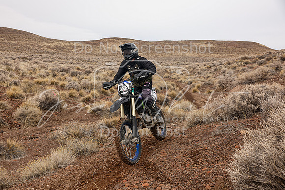 IMG_0608-55v