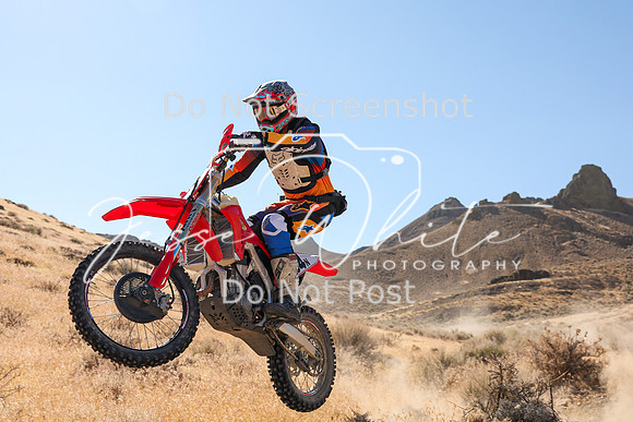 IMG_9555-954n