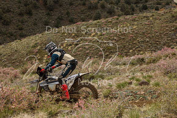 IMG_2454-109