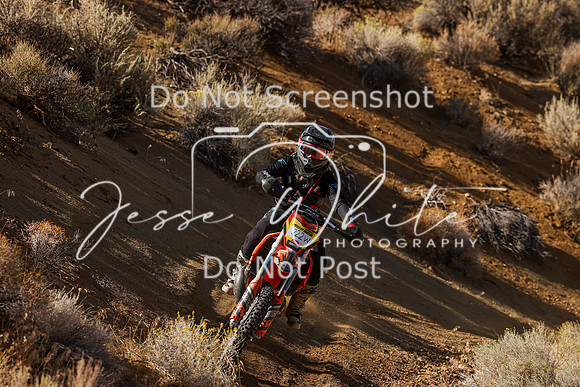IMG_9741-222w