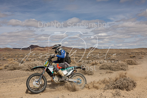 IMG_2116-74a