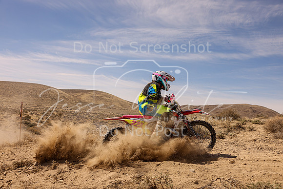 IMG_1491-227v
