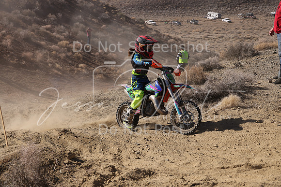 IMG_7709-224y