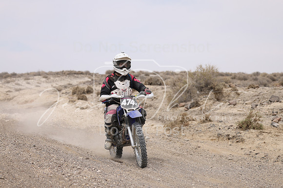 IMG_9413-474v
