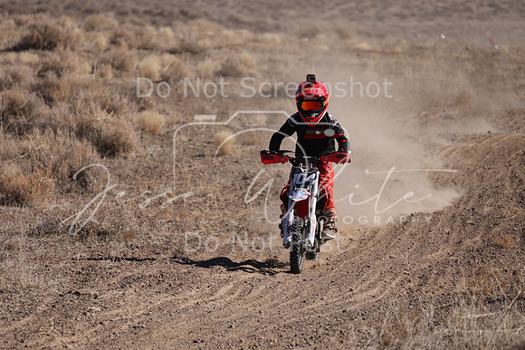 IMG_7967-104z