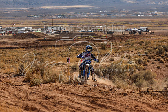 IMG_4589-311j