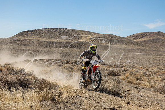 IMG_4115-6aa