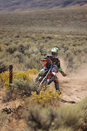 IMG_1313-nt141