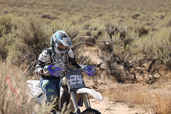 IMG_1650-n29r