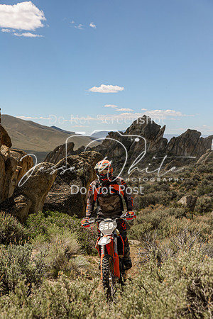 IMG_8971-259n