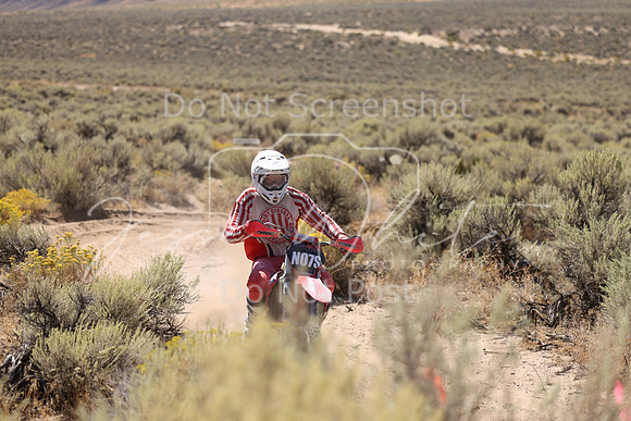 IMG_1501-n07s