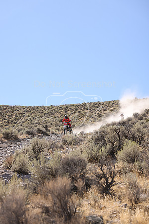 IMG_1973-x1