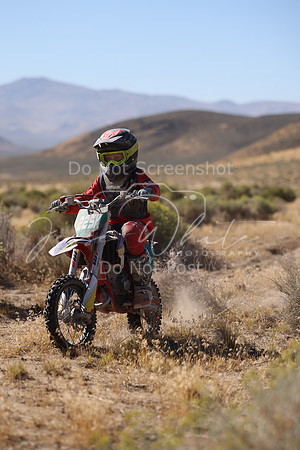 IMG_3462-225y
