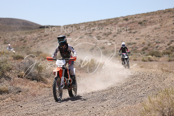 IMG_2953-511v