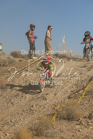 IMG_0349-15z
