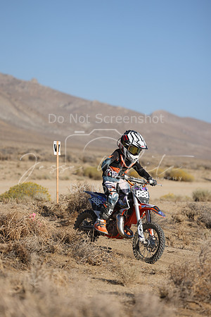 IMG_6266-888y