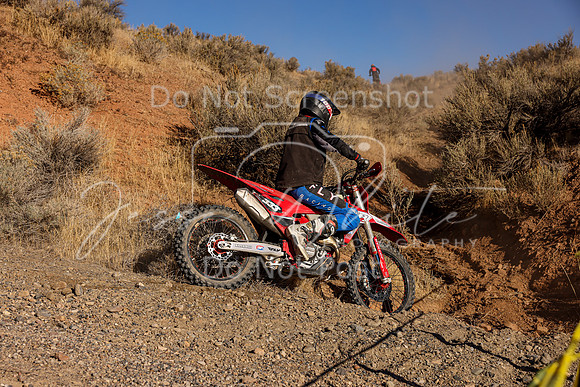 IMG_2728-333x
